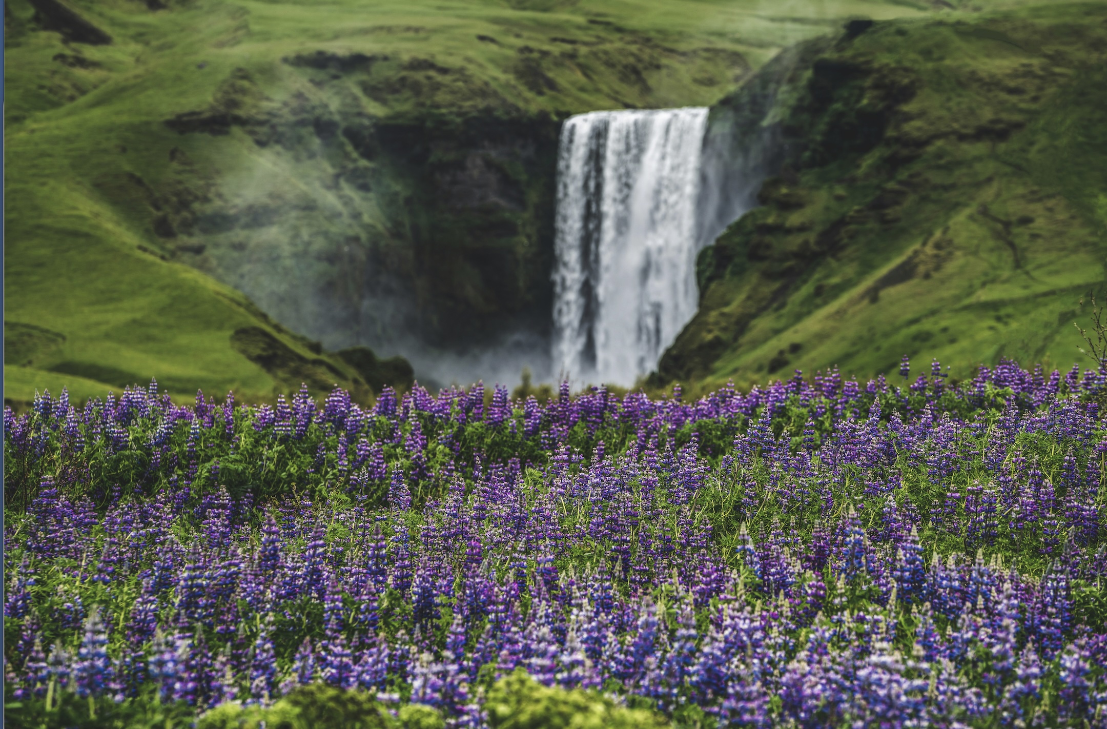 Lúpínufoss