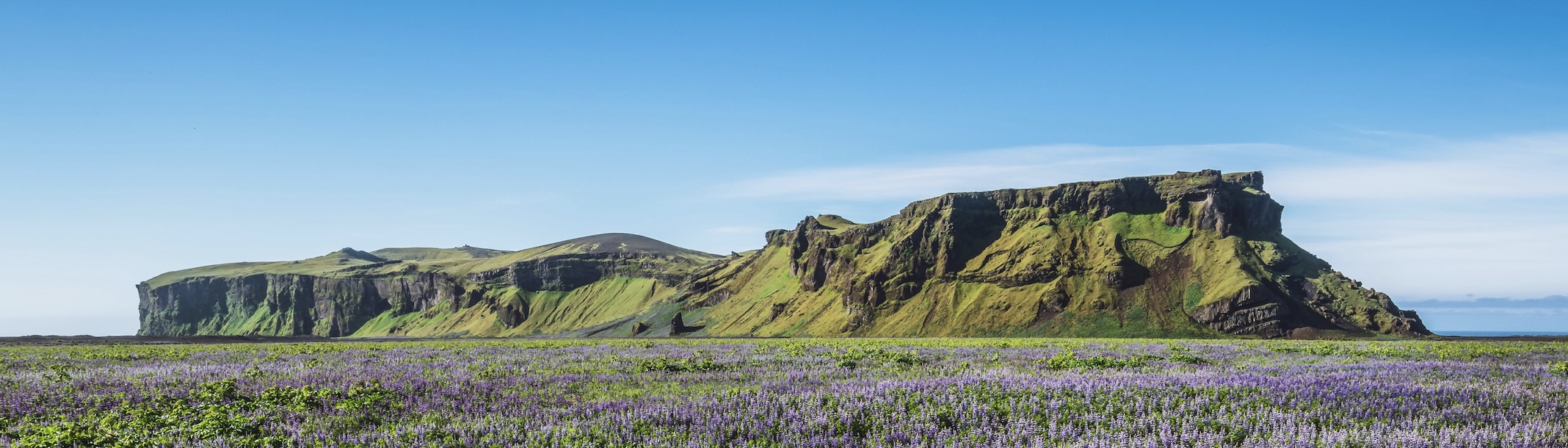 Toppmynd fjall